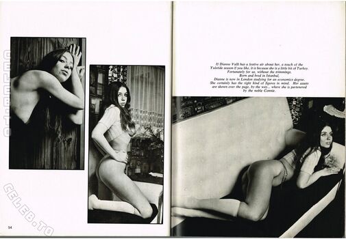 Full leaked Vintage erwachsenen zeitschriften private photo